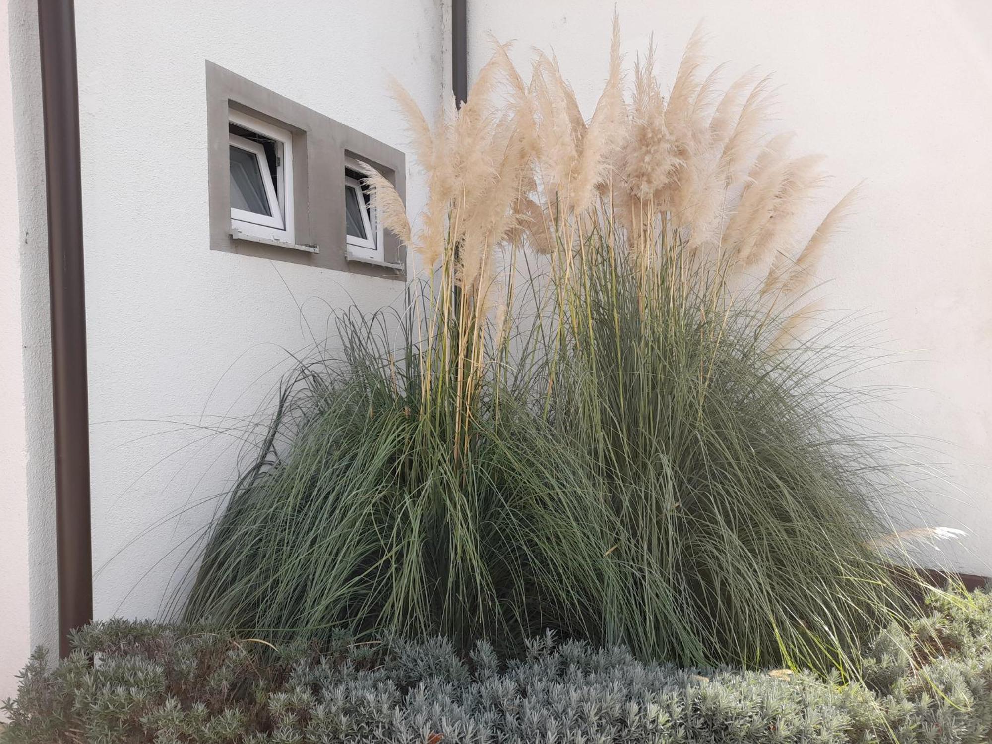 Apartamento Opatovina Topusko Exterior foto